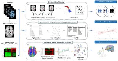 DNA Methylation Basis in the Effect of White Matter Integrity Deficits on Cognitive Impairments and Psychopathological Symptoms in Drug-Naive First-Episode Schizophrenia